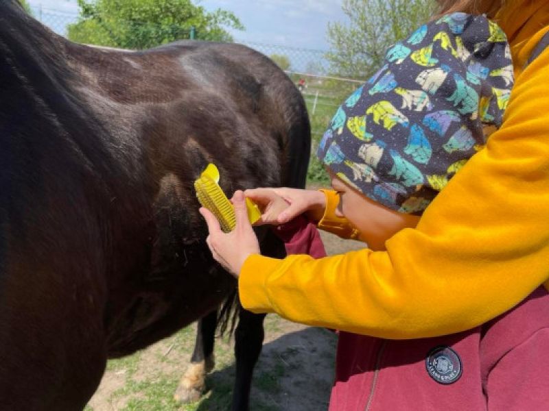 Podpořte nás na Doniu