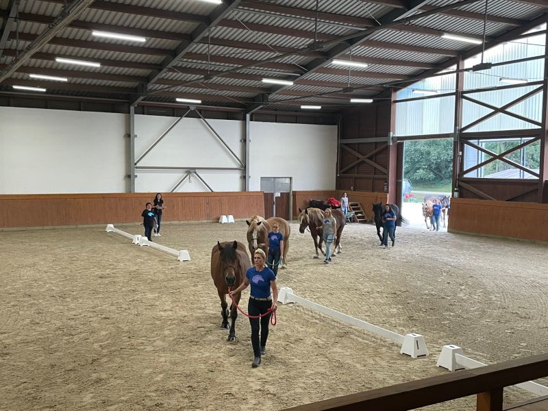 Evropská konference o hiporehabilitaci v Praze