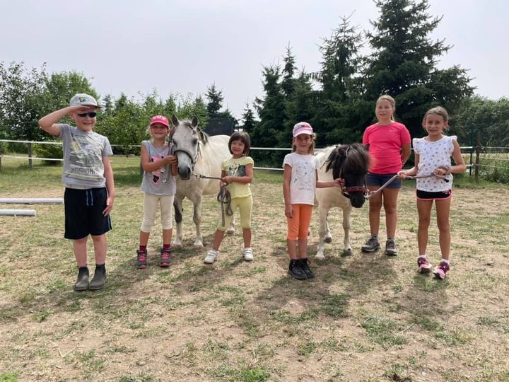 Rádi bychom poděkovali všem rodičům a dětem za účast na našich příměstských táborech.
