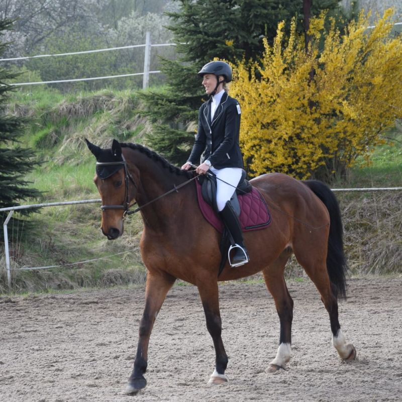 Individuální jezdecký výcvik